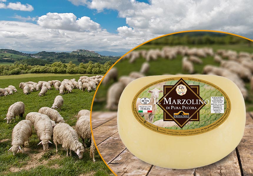 Formaggio Pecorino Marzolino