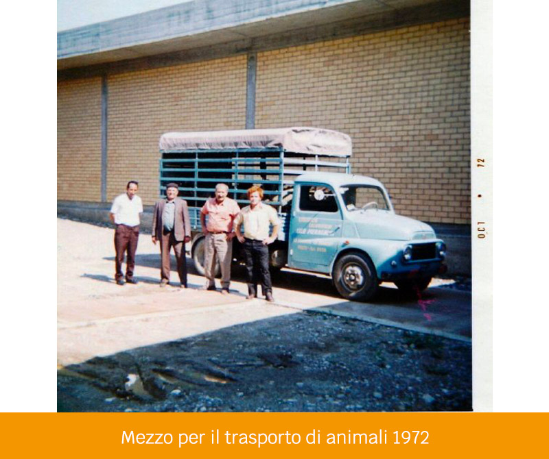 Pieragnoli - Mezzo per il trasporto di animali 1972