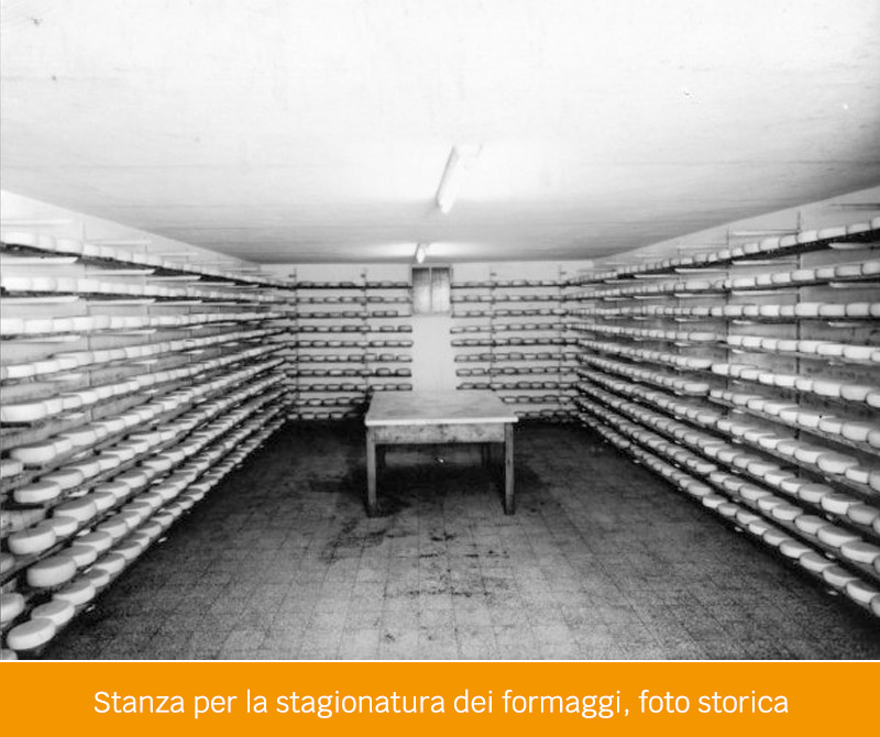 Pieragnoli - Stanza per la stagionatura dei formaggi, foto storica