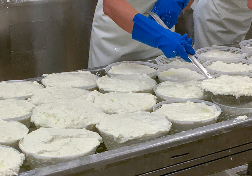 Produzione ricotta fuscelle