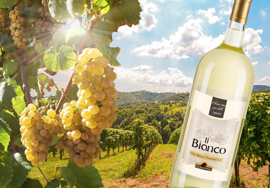 Vino bianco toscano IGT