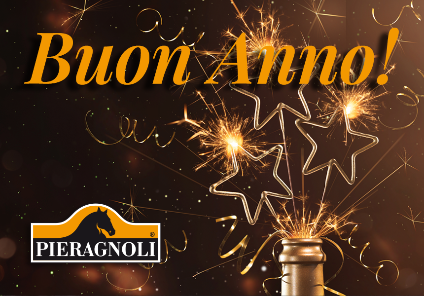 Tanti auguri per un sereno anno nuovo!