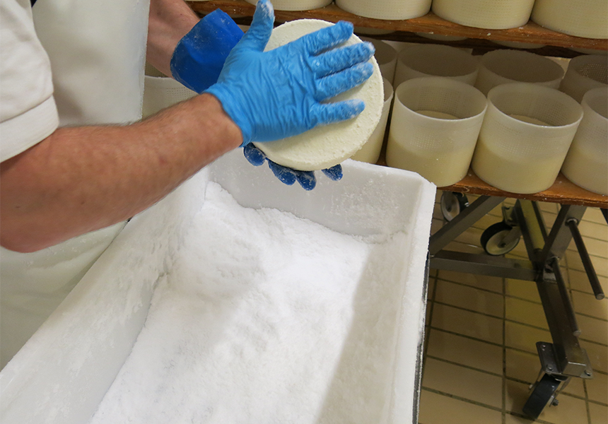 Giornata mondiale della sicurezza alimentare Giornata mondiale della sicurezza alimentare