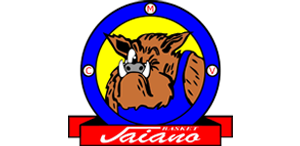 Centro minibasket valbisenzio