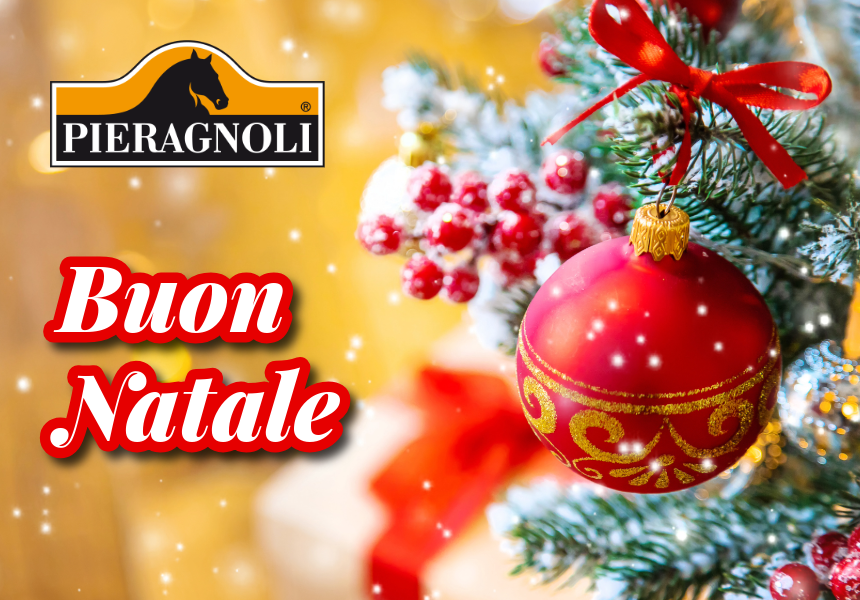 Buon Natale da Pieragnoli